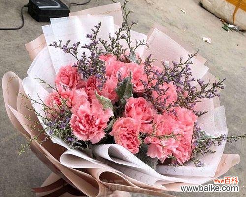 用19朵康乃馨解读人生与情感的沉浮 康乃馨的寓意与象征意义