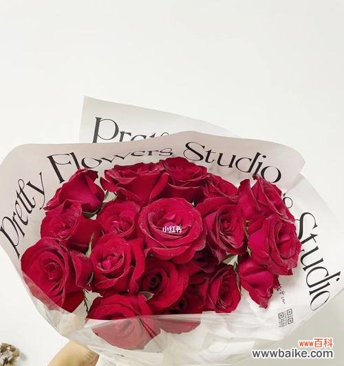 探究玫瑰花语的深层含义与传承 玫瑰花语之十九朵玫瑰的含义