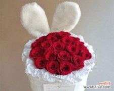 传递爱与祝福 19朵玫瑰花的寓意及象征意义