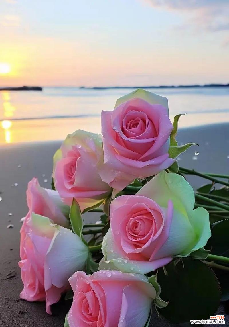 粉色树花代表什么意义？粉色花语有哪些？