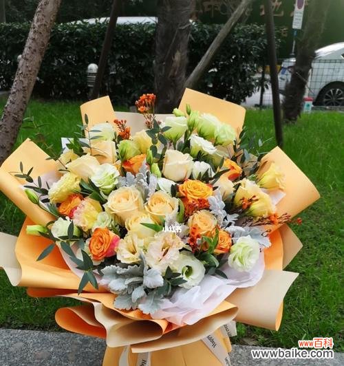 九只香槟色玫瑰代表什么?