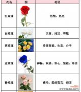 什么样的网名寓意吉祥花？