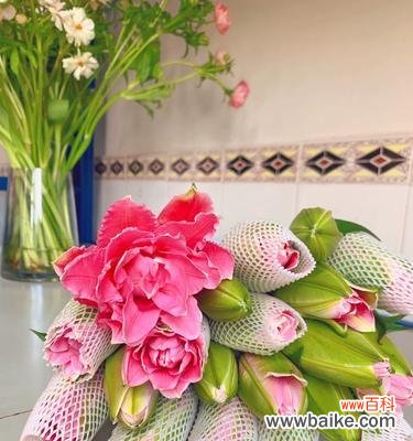 粉色白百合花的寓意是什么？粉色白百合花代表什么？