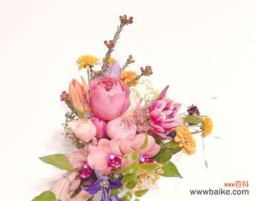 红色和橙色手捧花的寓意是什么？它们代表了哪些情感？