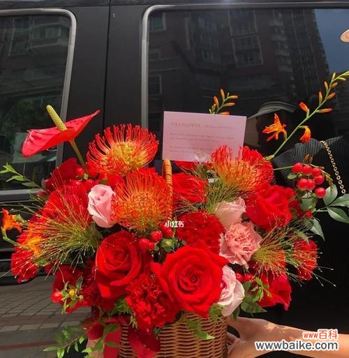 送花给长辈生日有何寓意？如何选择合适的生日花？