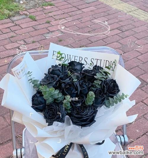 探索黑玫瑰花语的真正含义,适宜赠送对象细致揭秘 以黑玫瑰花语传递心意