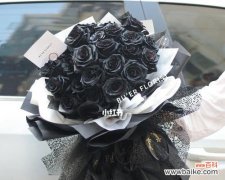 探寻黑玫瑰的情感与美学 黑玫瑰的象征意义及其传承之美