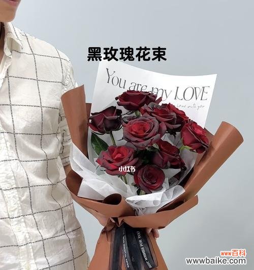 探索黑玫瑰背后的深意 黑玫瑰花语与含义