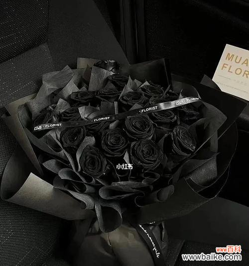 探寻黑玫瑰背后的深层含义 黑玫瑰花语的意义与传承