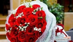 探索25朵玫瑰的深层意义 玫瑰花语的浪漫含义