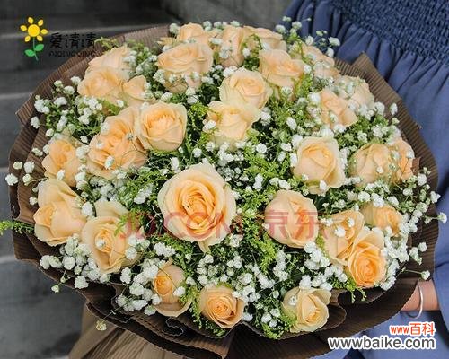 探索21朵香槟玫瑰所传递的深刻情感 21朵香槟玫瑰的花语