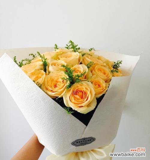 探寻21朵香槟玫瑰的真正含义 21朵香槟玫瑰花语的深意