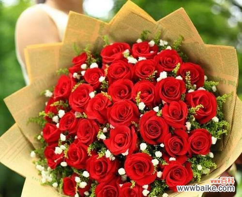 用花言巧语 29朵玫瑰的花语含义