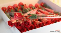 玫瑰花的象征与寓意 用2朵玫瑰诠释的深意