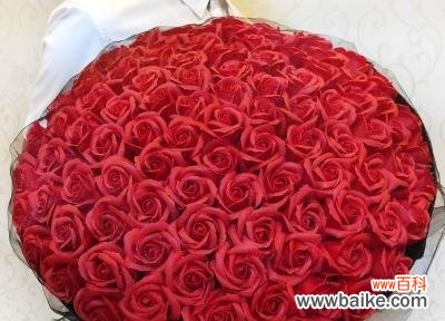 玫瑰花代表爱情与友谊的情感符号 两朵玫瑰花的含义