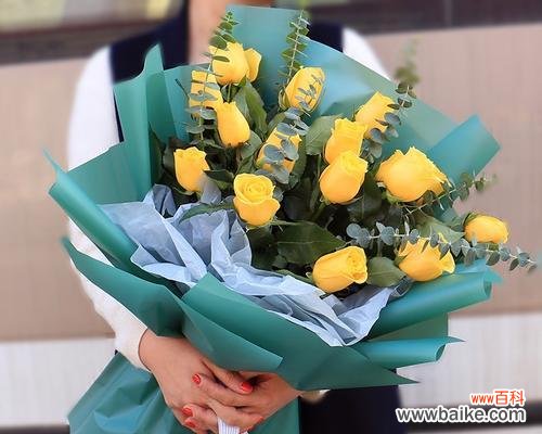 表达深情的黄玫瑰与美好情感的意义 33朵黄玫瑰的寓意——爱与感激之花