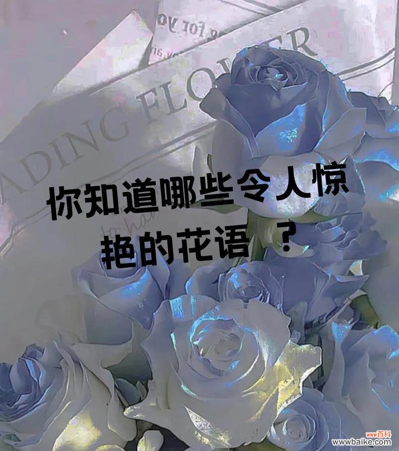 花语花思的浪漫含义是什么？浪漫花语代表什么？