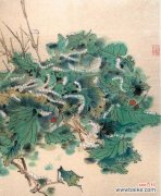 五色花为何不吉利？它的寓意和象征是什么？