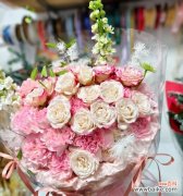 圣诞节常见的花有哪些寓意？