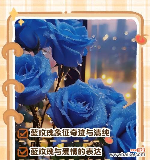 蓝色雏菊的花语是什么?它代表了哪些情感?