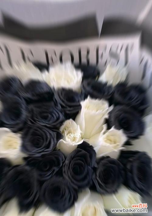 探索黑色玫瑰花语的深层含义 黑色玫瑰花语的神秘之美