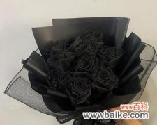 黑色玫瑰的神秘与美丽、爱情中的黑暗之花 黑色玫瑰