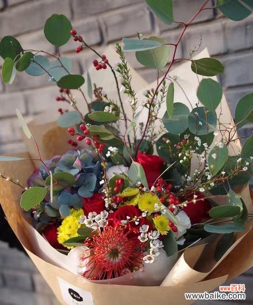 追逐爱情与坚守承诺的象征——红豆花 红豆花的花语与寓意