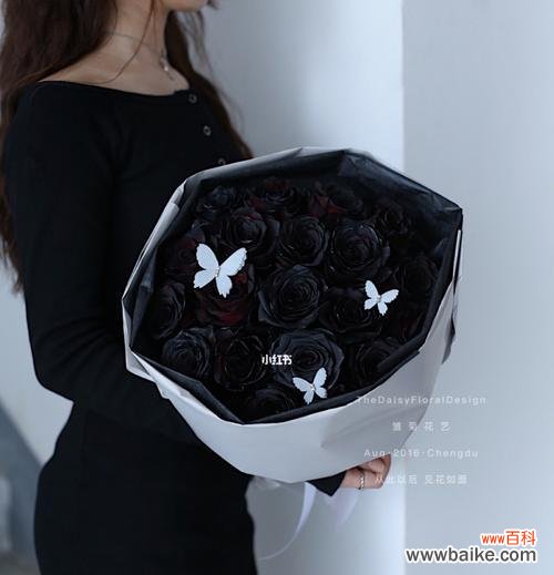 探索黑色玫瑰的神秘花语 黑色玫瑰