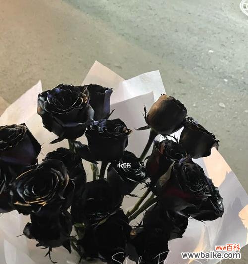 探索黑色玫瑰的神秘花语 黑色玫瑰