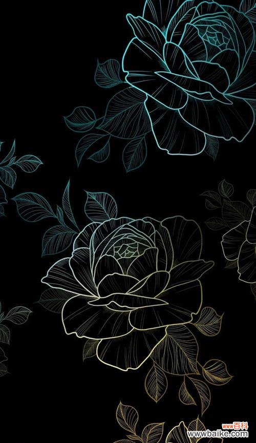 探索黑色玫瑰的神秘花语 黑色玫瑰