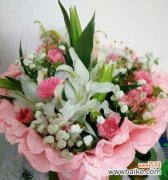 一朵花 康乃馨的象征意义及其启示