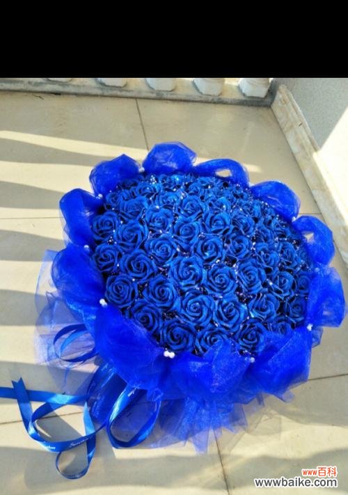 52朵蓝色妖姬 蓝色妖姬花语