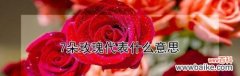 探索玫瑰花语的深层内涵 七朵玫瑰的意义与象征