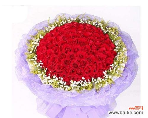 探索玫瑰花语的深层内涵 七朵玫瑰的意义与象征