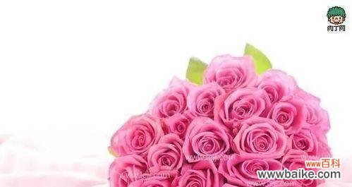 探索8朵粉玫瑰的花语和寓意 花语与寓意