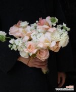 手捧花扎成四小束的寓意是什么？四小束手捧花代表什么？