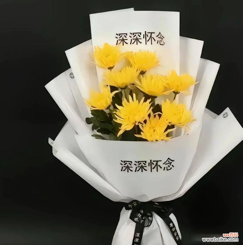 送长辈父亲花的寓意和花语是什么?