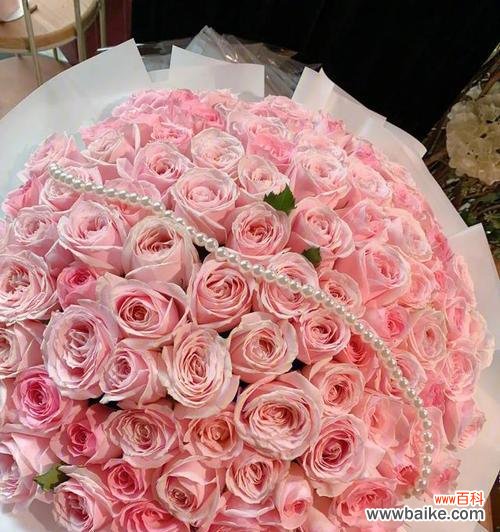 粉色玖瑰花的寓意是什么？