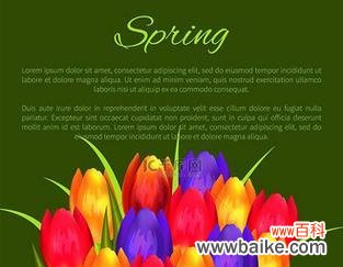 花的颜色代表什么？紫色橙色粉色花的寓意是什么？