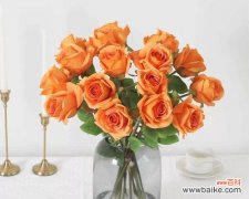 情侣手捧玫瑰花代表了什么？