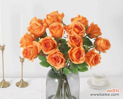 情侣手捧玫瑰花代表了什么？