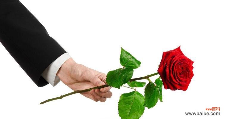 情侣手捧玫瑰花代表了什么？