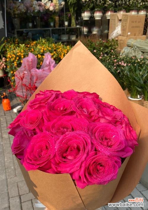 什么花象征着爱人的爱情?如何选择表达爱意的花卉?