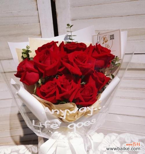 探寻红玫瑰的深意与文化底蕴 红玫瑰的浪漫与传承