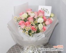 红玫瑰与粉玫瑰