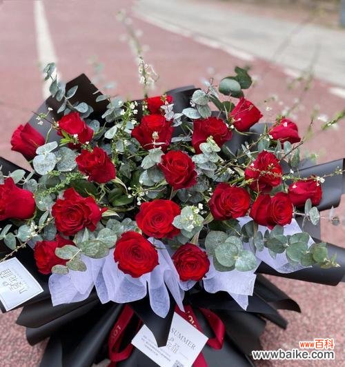 探究红玫瑰花的爱情寓意 红玫瑰花的寓意与象征