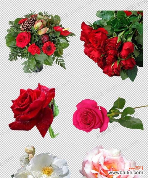 传递爱的语言-玫瑰花 八朵红玫瑰花的寓意