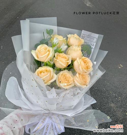 探寻香槟玫瑰的花语之美 香槟玫瑰花语