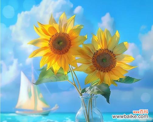 平安幸运花有哪些？它们的花语是什么？