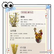 春节期间哪种花寓意最好？